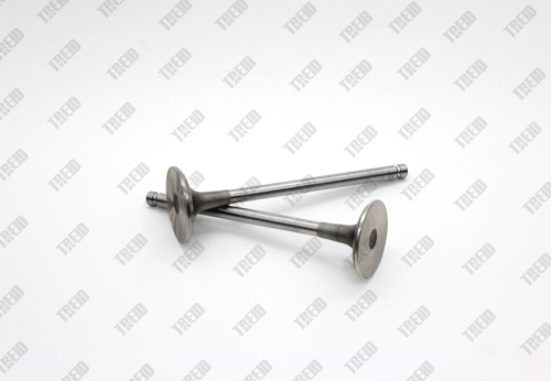 Комплект выпускных клапанов SC9D220 (D04-111-31)